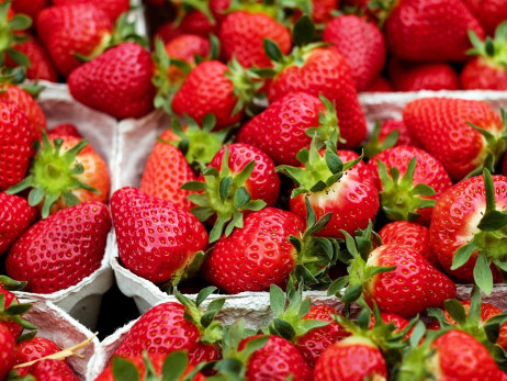 strawberries-1396330_1280