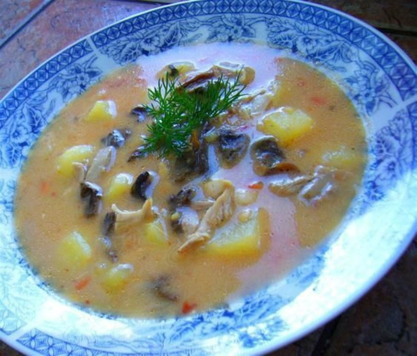 zupa-ogonowa-z-grzybami-suszonymi-37390