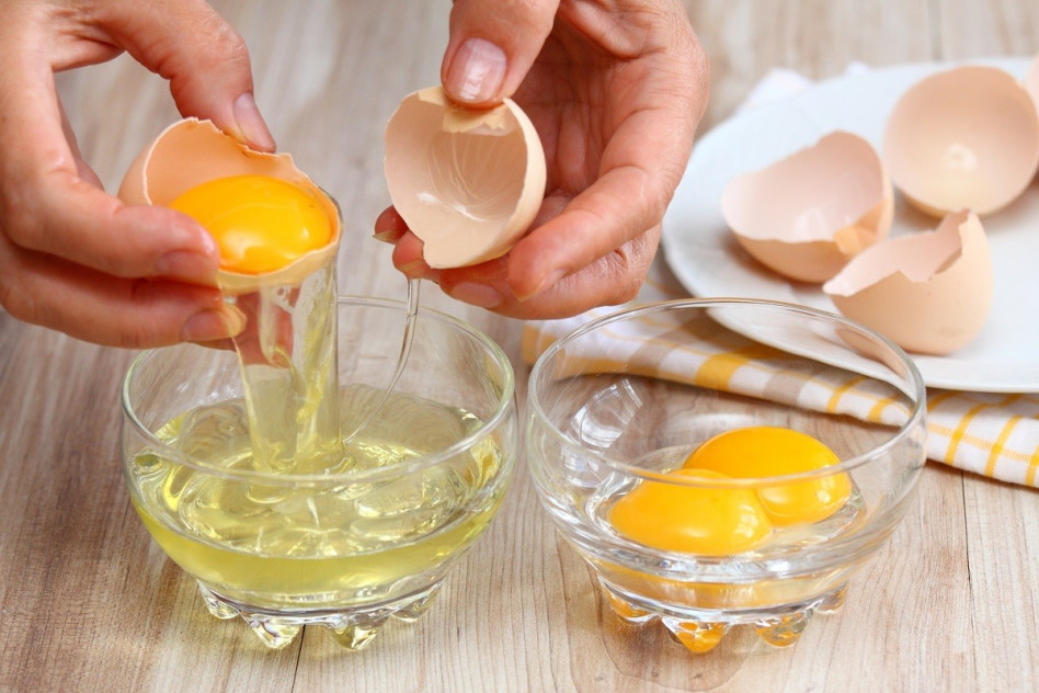 wykorzystanie białka jaja