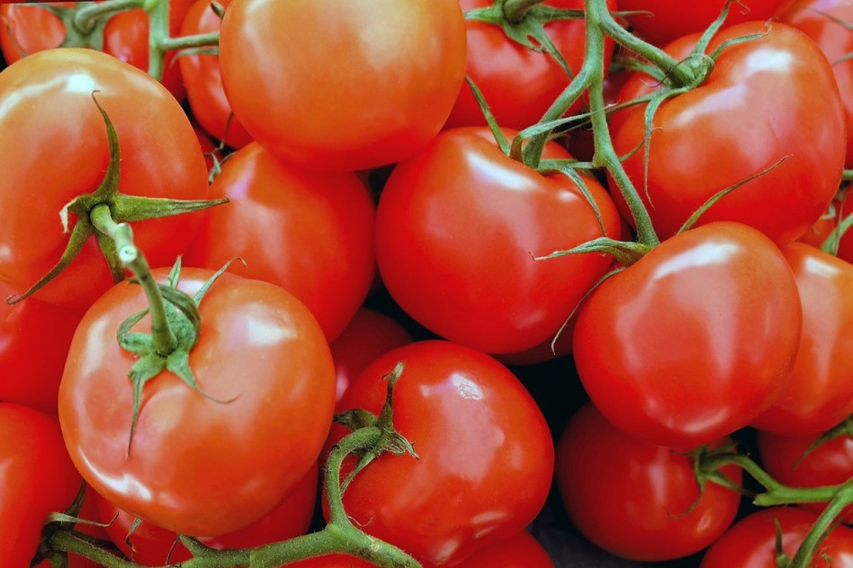 tomatoes-1263086_1280