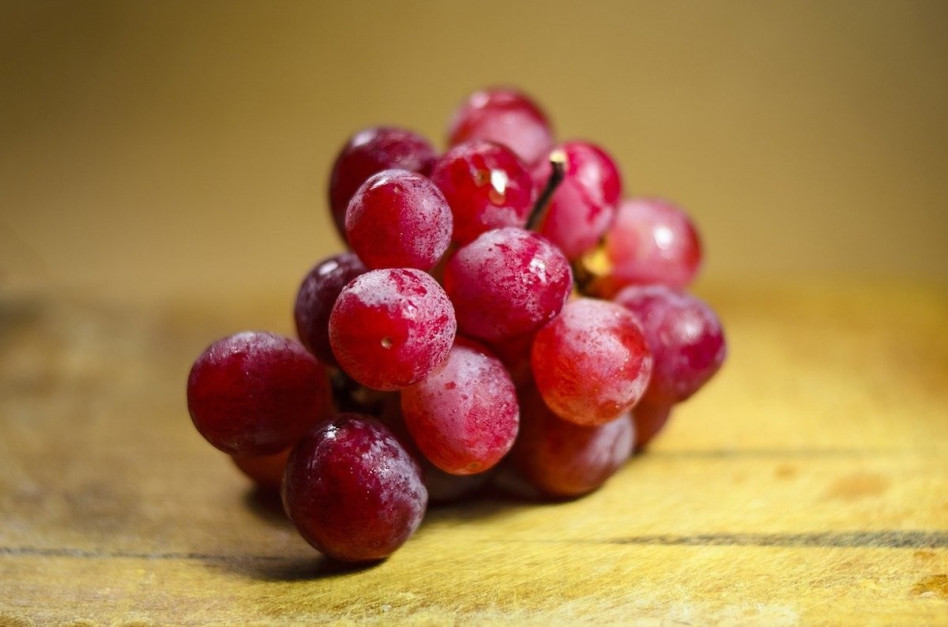 grapes-1283162_1280